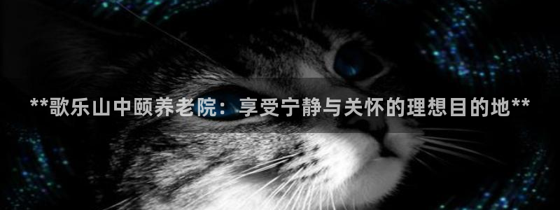 韦德网址是多少