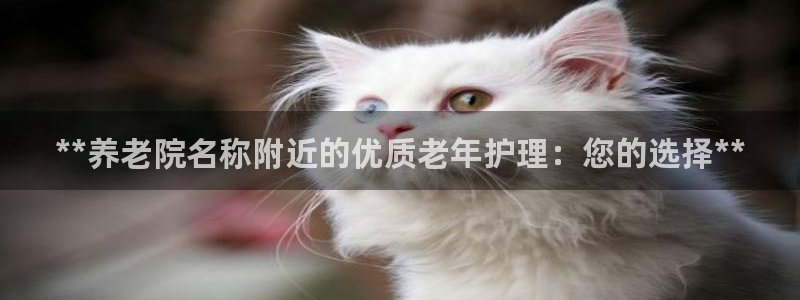 韦德网址