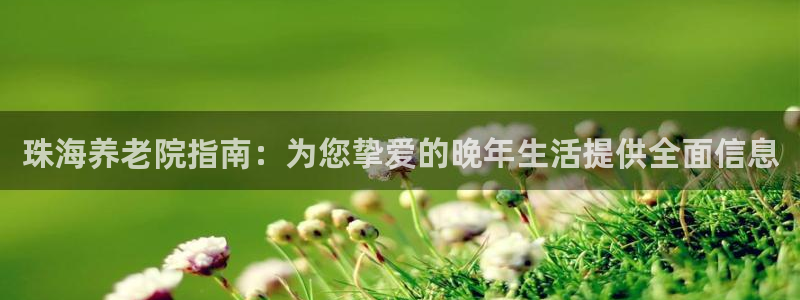 韦德 网站