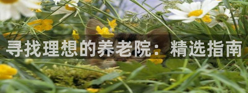 韦德2016
