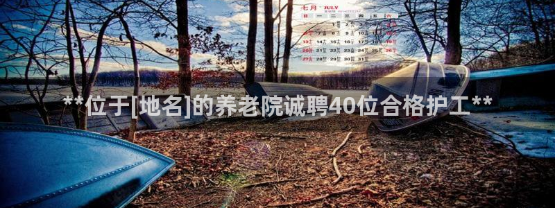 韦德2016