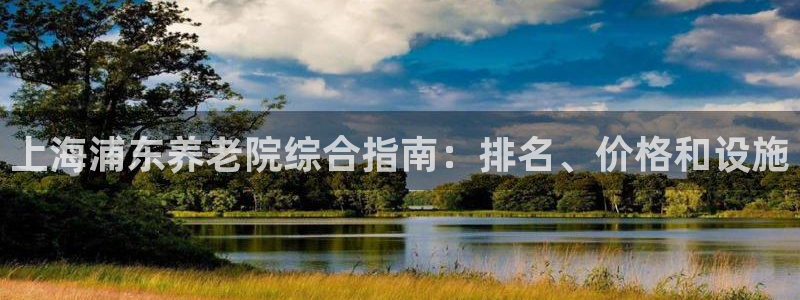 韦德游戏是什么