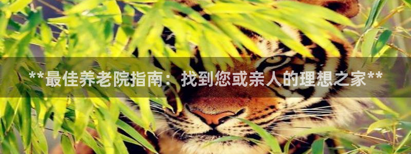 韦德 网址