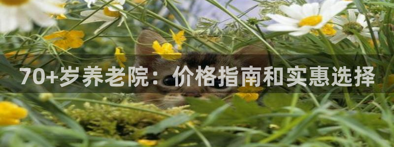 韦德游戏大厅