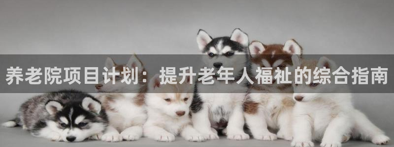 韦德网址是多少