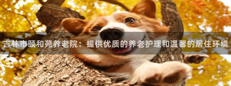 韦德官方下载