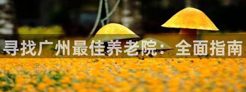 韦德的地位