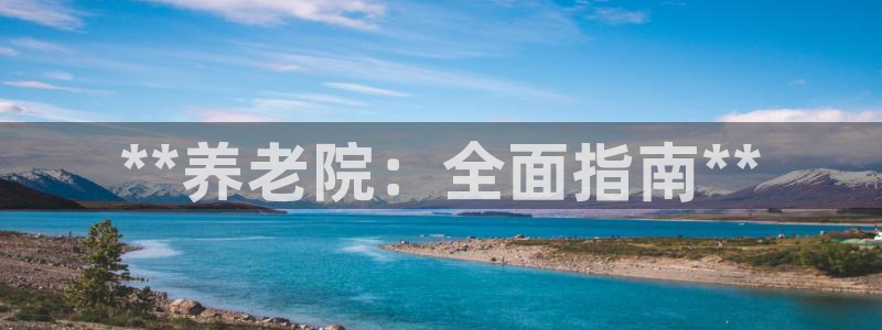 韦德的游戏