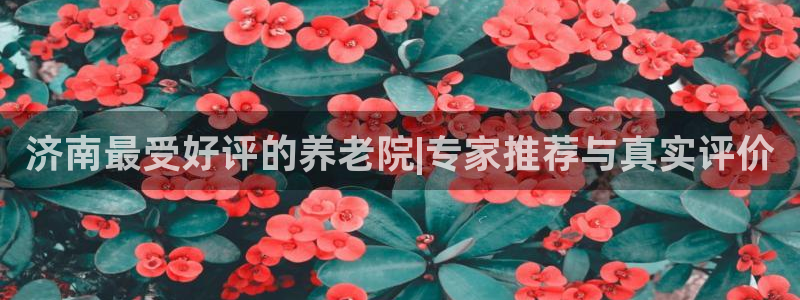 韦德游戏大厅