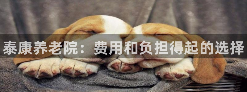 韦德1946官网最新版