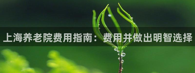 韦德1946备用网站