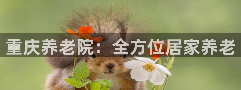 韦德bietview官网