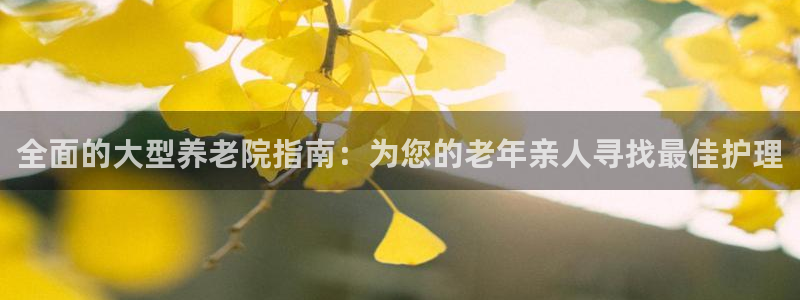 韦德网址是多少