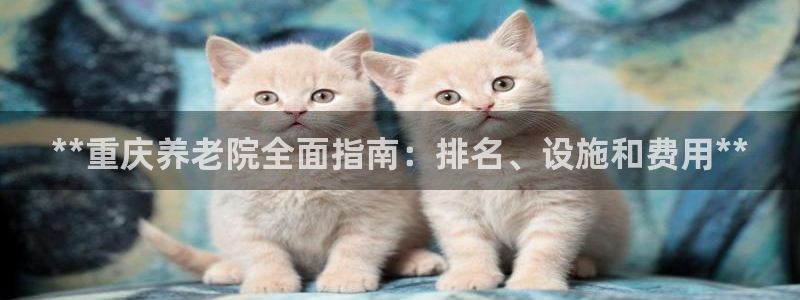 韦德1946体育官方入口