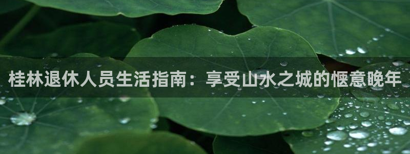 1946韦德游戏