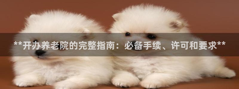 韦德1946游戏