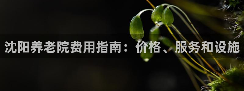 韦德合集