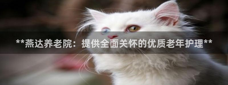韦德1946娱乐