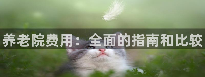 韦德下载
