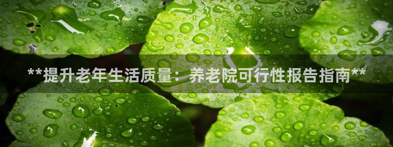 韦德1946游戏