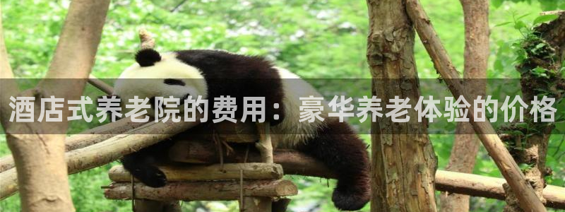 韦德事件