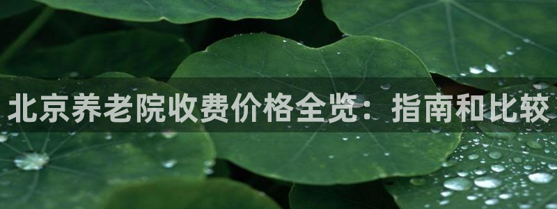 韦德游戏是什么