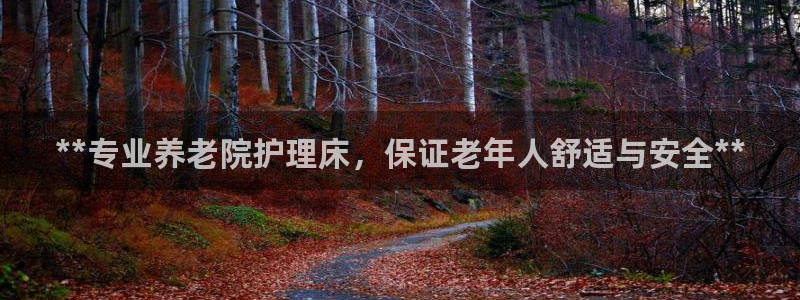 韦德网站是多少