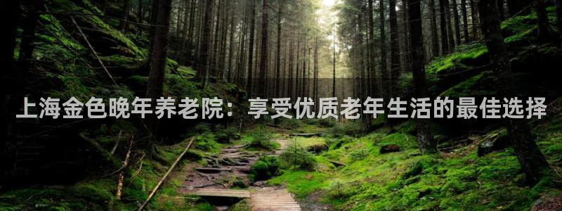 韦德1946下载