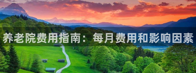 韦德1946博客