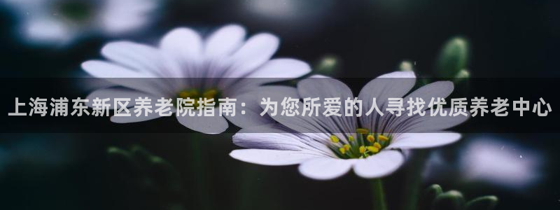 韦德2016