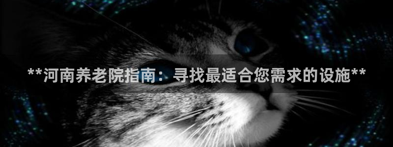 韦德1946手机