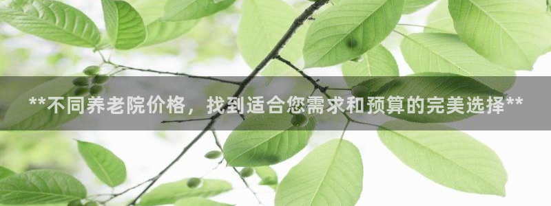 韦德2016