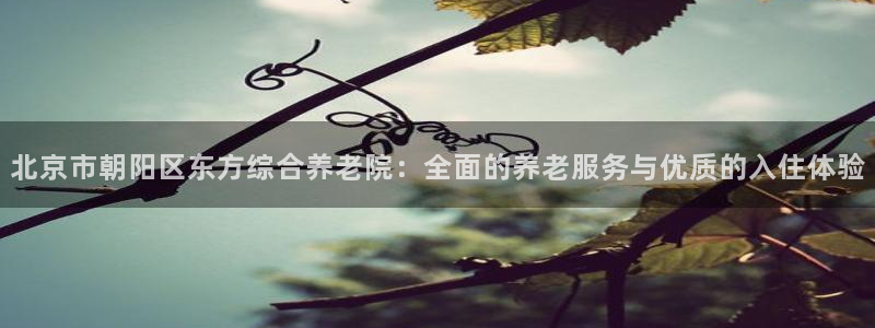 韦德 网址