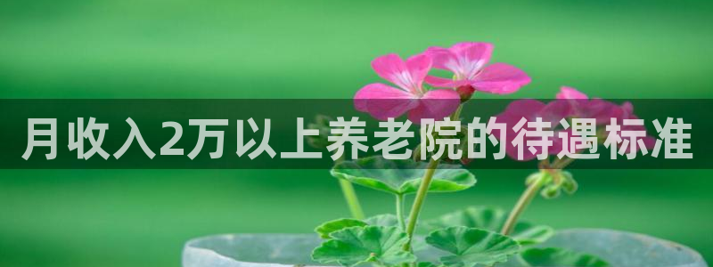 韦德1946备用网站
