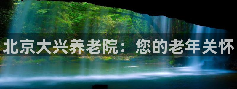 韦德属于什么