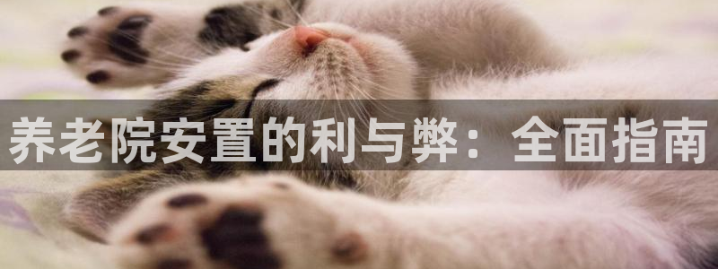 韦德网址是多少