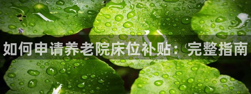 韦德网站是多少