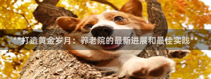 韦德官网在线