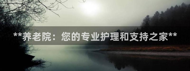 韦德 网站