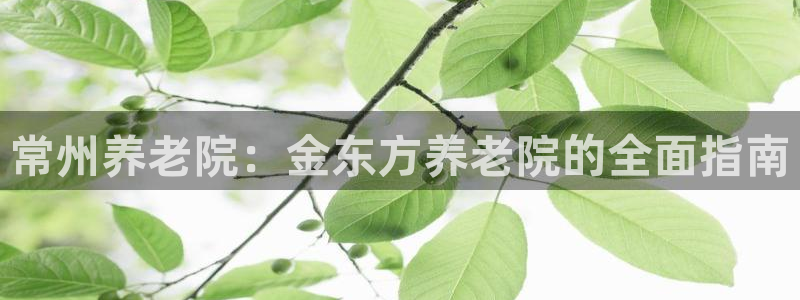 韦德1946始于英国