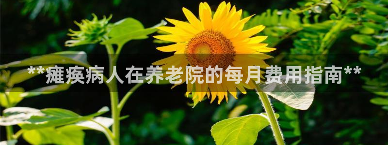 韦德国际1946官网