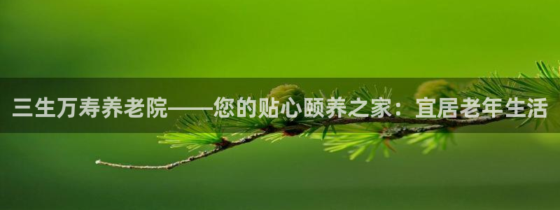 韦德游戏注册需要什么