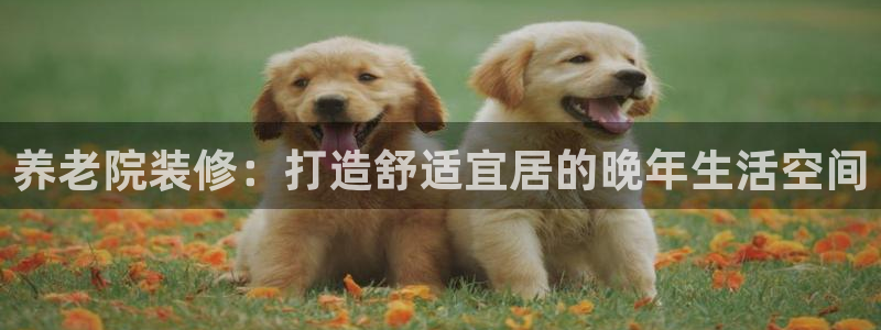 韦德 网址