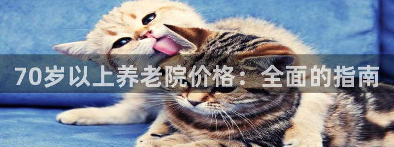 韦德 1946