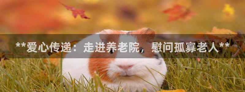 韦德1946官方
