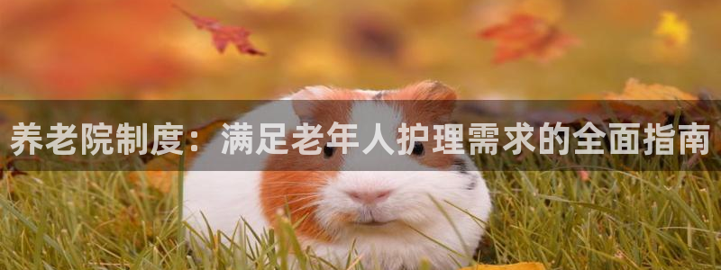 韦德1946最新网站