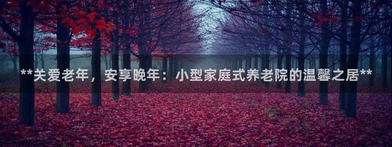 韦德1946体育官方入口