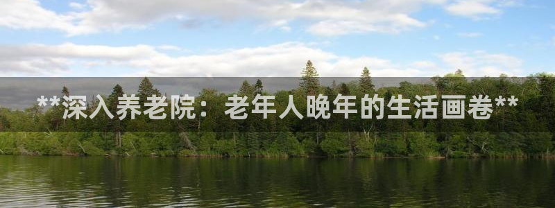 韦德网址是多少