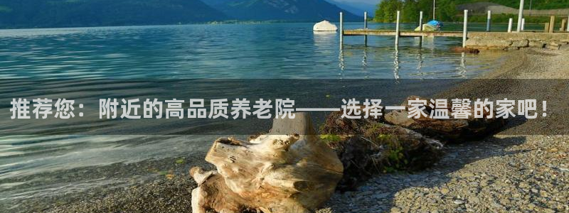 韦德 网址