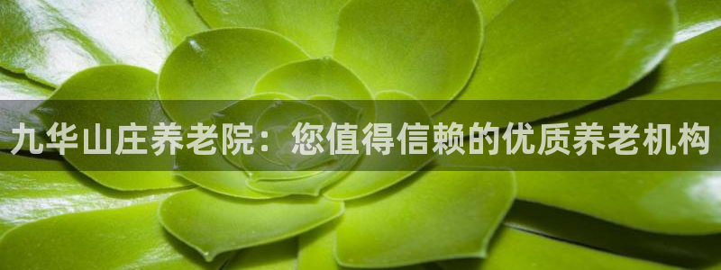 韦德1946官方